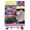 Bannerdisplay ,,Big Out"